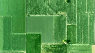 India's AgriStack Revolutionizes Agriculture with Digital Infrastructure