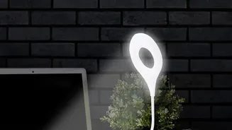 A Small Desk Needs Flexible Light That Moves with the Task
