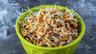 How To Build High Protein Snack Bowls With Sprouted Chana And Sattu
