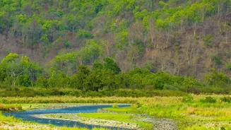 IRCTC Wildlife Tours From Mumbai: An Organised Nature Break Departing From Mumbai