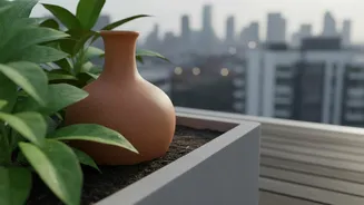 How Balcony Plants Stay Hydrated Through Dry Humid Spells Using Terracotta Olla Containers