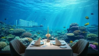 Maldives 2-Day Itinerary for Indians: Underwater Dining, Dolphin Cruises & Snorkeling Thrills!