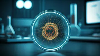 Unveiling the Health Story: Challenges and Insights