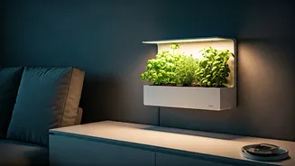 Soilless Indoor Gardens Are The New Decor Shortcut