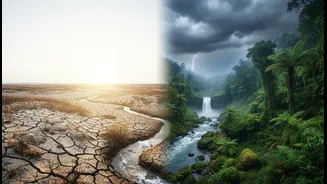 El Niño Vs La Niña: Why India's Weather Can Change Dramatically