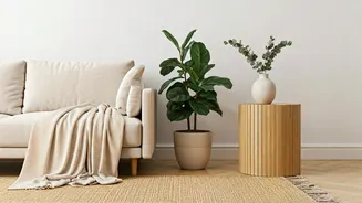 The Earthy Apartment: How Renters Design Calming Living Zones