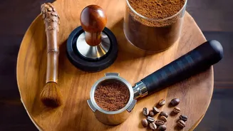 Metro Hubs Adopt Mushroom Micro-Factories Powered By Spent Coffee Grounds