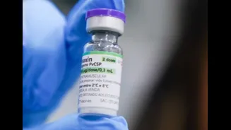 Vacina brasileira inédita contra malária é liberada pela Anvisa para testes em humanos