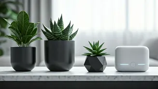 Indoor Plants Are Becoming Cleaner, Cuter And Easier
