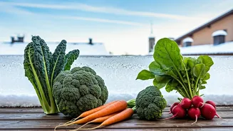 Grow These 5 Veggies on Your Balcony This Winter