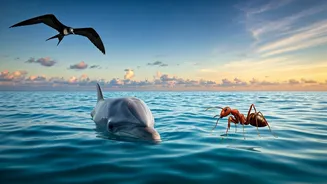 Beyond Deep Slumber: Animals That Master Unusual Sleep Patterns