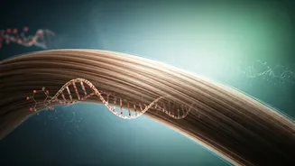 Hair Trends Backed By Real Science