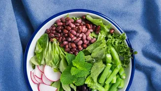 Understanding Beans and Vegetables in Fast Lunches Through Ten-Minute High-Fibre Lunch Recipes