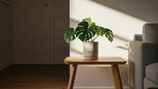 Small Homes Look Better With Thoughtful Greens