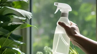 Houseplants Respond Better To Soil Moisture Than Fixed Schedules