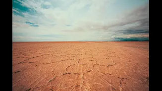 Understanding the Impact of a Deficient Monsoon on India