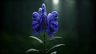7 Deceptively Beautiful Plants: Nature's Deadly Beauties Unveiled