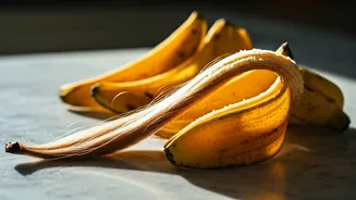 Unlock Luscious Locks: The Surprising Summer Hair Secret Hiding in Your Kitchen!