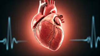 Heart Health in Your 20s & 30s: A Young Adult's Guide