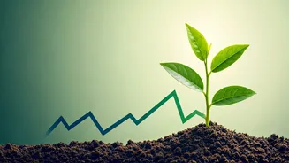 SEBI's Fund Cost Reset Needs SIP Attention