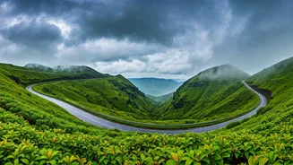 Green Ghats Have Entered Cautious Travel Planning