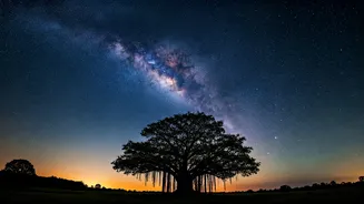 Look Up Tonight To See Beautiful Ancient Cosmic Starlight Safely