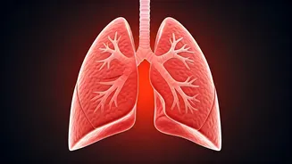 Eat These Foods for Healthy Lungs Now
