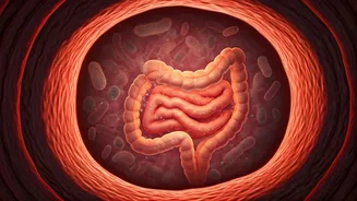 The Biggest Nutrition Buzz Is Inside You