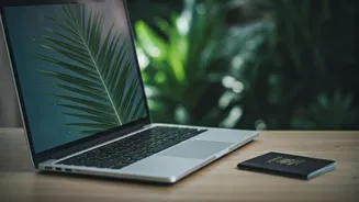 Beyond Thailand: Bali And Japan Attract Indian Tech Nomads