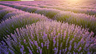 9 Simple Steps to Boost Happiness & Reduce Stress