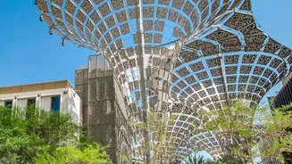 Outdoor Libraries Need Shade, Seating and Weather Plans to Work
