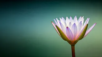 7 Powerful Ways to Cultivate Self-Worth and Safeguard Your Inner Peace