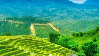 Farm Resilience Depends on Whether Land Can Absrob and Retain Water
