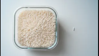 Airtight Storage Only Works When The Food And Container Are Fully Dry