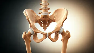 Understanding Hip Flexibility: Why It Matters
