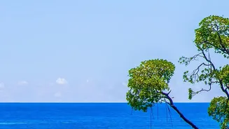 Why Andaman turquoise waters and clear autumn skies create ideal conditions for coastal photography