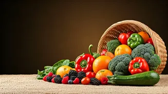 Boosting Wellness: A Comprehensive Guide to Your Fitness Journey