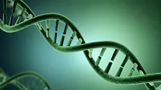 Unveiling the Secrets to a Longer, Healthier Life: 5 Science-Backed Strategies