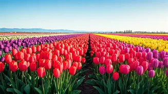 Unveiling 5 Enchanting Flower Festivals You Haven't Discovered Yet