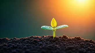 Embrace a Fresh Start: 5 AM Affirmations for Navigating Uncertainty