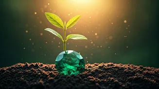 Taurus 2026: A Year of Steadfast Growth and Rebuilding Your Destiny