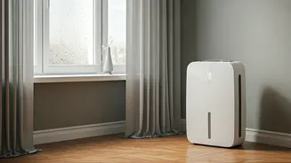 Beat humidity in small flats easily
