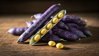Lupin Beans: Your New Favorite Superfood for a Healthier You!