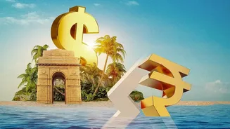 What Blue Bonds Mean For India's Sustainable Finance Market