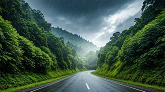 Delhi Groups Need A Monsoon Trip Strategy