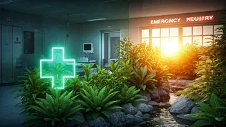 Why Proactive Lifestyle Habits Outperform Reactive Emergency Medical Care