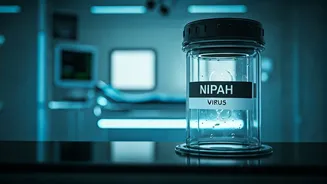 Nipah Virus in India: Understanding the Outbreak & Impact