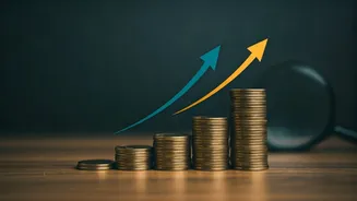 Studds Accessories IPO: Key Details & Investor Outlook