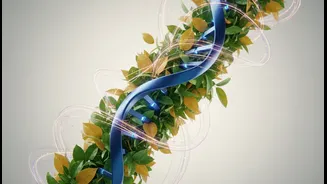 Nutrition Science Is Still Learning Who Benefits Most from Genetic Guidance