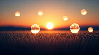 10 Lasting Childhood Imprints: How Everyday Moments Shape Lifelong Memories